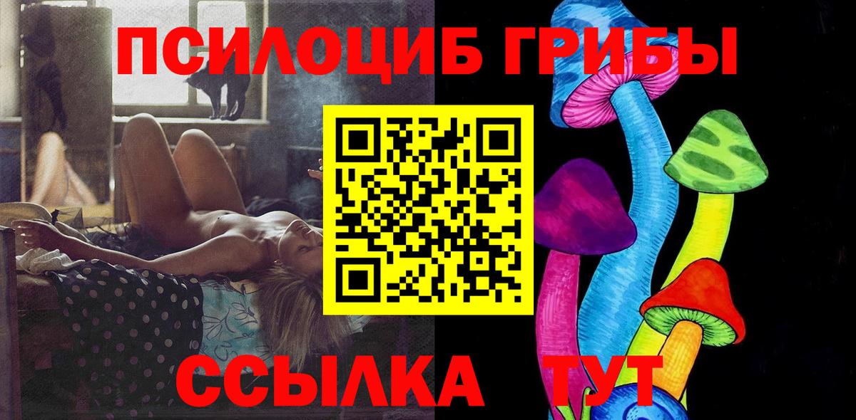 Галлюциногенные грибы Psilocybine cubensis  Галлюциногенные грибы прущие грибы  Губкин  Вход с VPN 
