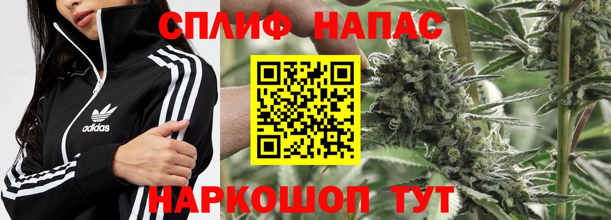 Губкин  Бошки марихуана сатива  Вход с VPN  Конопля Ganja  Бошки марихуана индика  Бошки Шишки марихуана 